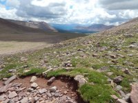 DSCN1264.JPG DSCN1264.JPG