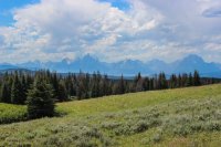 Garnet Fail-1.jpg Garnet Fail-1.jpg