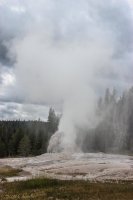 Garnet Fail-51.jpg Garnet Fail-51.jpg