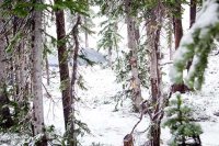 LRes-2486.jpg LRes-2486.jpg