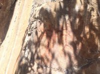 thumb_IMG_5743_1024.jpg thumb_IMG_5743_1024.jpg