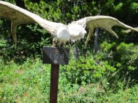 IMG_0703.JPG IMG_0703.JPG