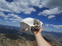 IMG_0760.JPG IMG_0760.JPG