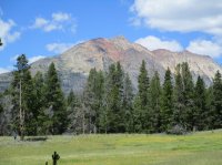 IMG_0696.JPG IMG_0696.JPG