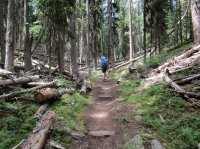 IMG_0698 - Copy.JPG IMG_0698 - Copy.JPG