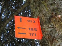 IMG_0708.JPG IMG_0708.JPG