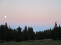 IMG_0715.JPG IMG_0715.JPG