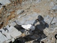 IMG_0758.JPG IMG_0758.JPG