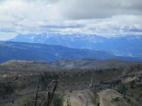 IMG_0535 (800x600).jpg