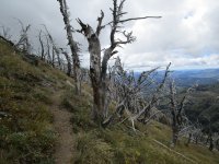 IMG_0539 (800x600).jpg