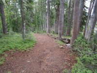 IMG_0606 (800x600).jpg