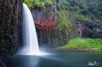 a fond farewell_.jpg