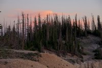 daasasfdsfaa 002.jpg