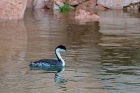 IMG_7244_2.jpg IMG_7244_2.jpg