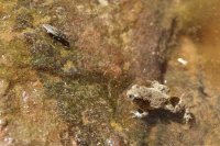 IMG_7414.jpg IMG_7414.jpg