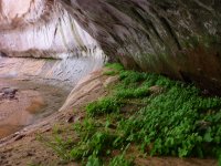 P1010133.jpg P1010133.jpg