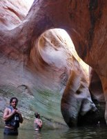 P1010146.jpg P1010146.jpg