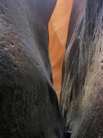 P1010192.jpg P1010192.jpg