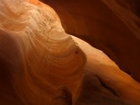 P1010227.jpg P1010227.jpg