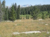 IMG_4009.JPG IMG_4009.JPG