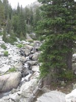 IMG_4029.JPG IMG_4029.JPG