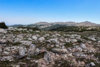 Highland Park \'15-5.jpg