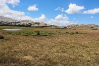 Highland Park \'15-11.jpg