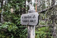 ROMO Wild Basin-6.jpg