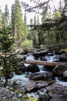 ROMO Wild Basin-8.jpg