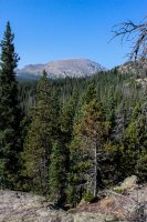 ROMO Wild Basin-13.jpg