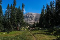 ROMO Wild Basin-17.jpg