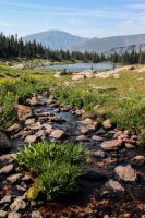 ROMO Wild Basin-23.jpg