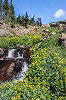 ROMO Wild Basin-25.jpg