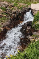 ROMO Wild Basin-26.jpg