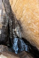 ROMO Wild Basin-31.jpg