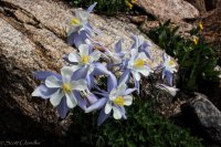 ROMO Wild Basin-33.jpg