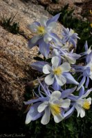 ROMO Wild Basin-35.jpg