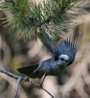 B73A3097.jpg B73A3097.jpg