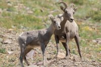 B73A3124.jpg B73A3124.jpg