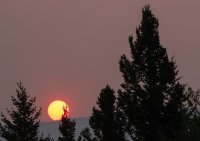 B73A3195.jpg B73A3195.jpg