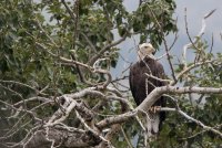 B73A3253.jpg B73A3253.jpg