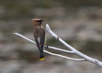 B73A3284.jpg B73A3284.jpg