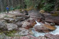 B73A3298.jpg B73A3298.jpg