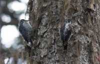 B73A3317.jpg B73A3317.jpg