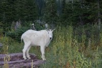 B73A3367.jpg B73A3367.jpg