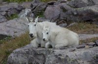 B73A3467.jpg B73A3467.jpg