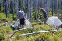 DSC_0059.JPG DSC_0059.JPG