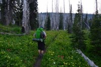 DSC_0040.JPG DSC_0040.JPG