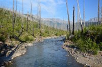 DSC_0016.JPG DSC_0016.JPG