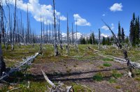 DSC_0091.JPG DSC_0091.JPG